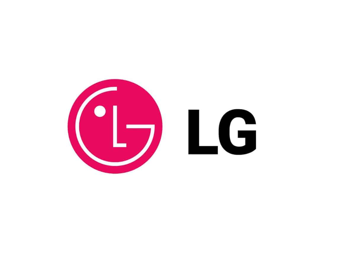 Lg flex