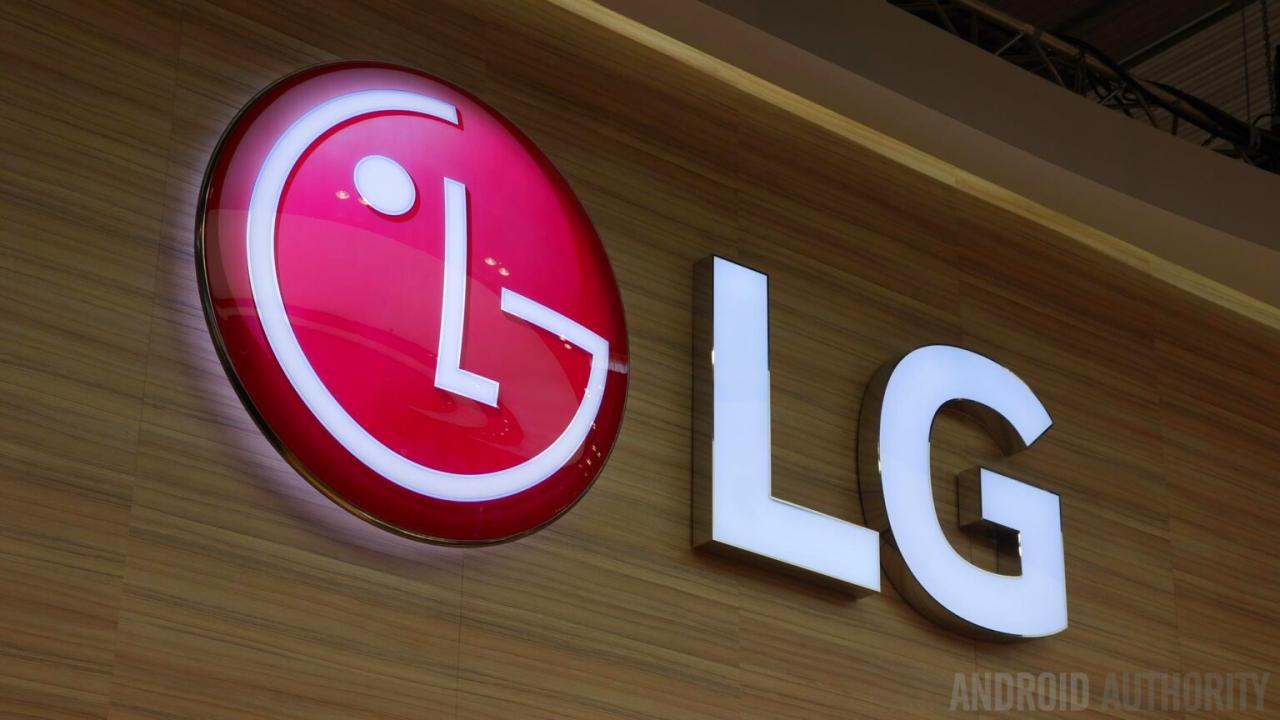 Lg flex